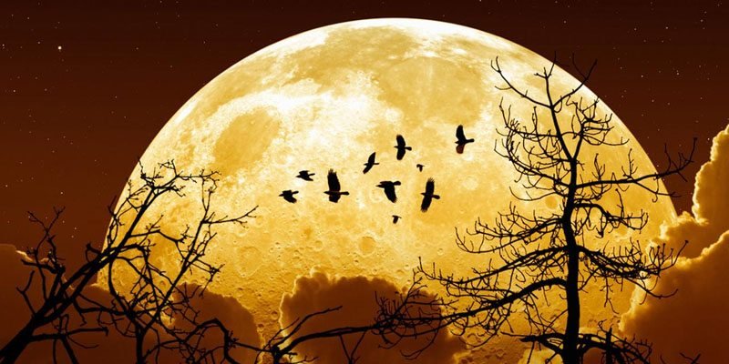 november supermoon | revelationrevealed.online